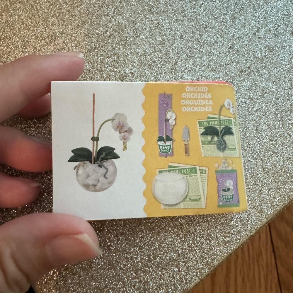 Mini verse orchid